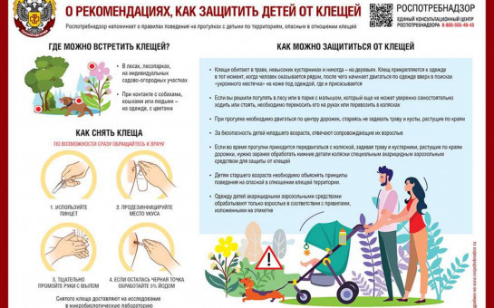 Как защитить детей от клещей?