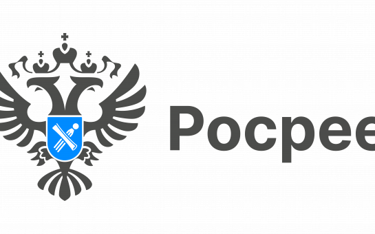 Что можно найти на Публичной кадастровой карте
